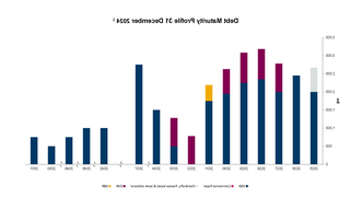 Graph of debt maturity profile